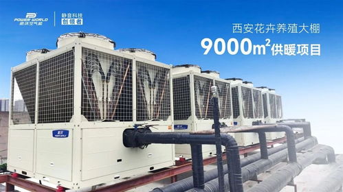 精品案例 派沃空氣能助力花卉養(yǎng)殖大棚9000㎡供暖項(xiàng)目，35臺(tái)超低溫?zé)岜米o(hù)航冬日花開(kāi)